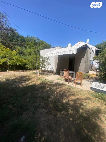 נאות המכבים