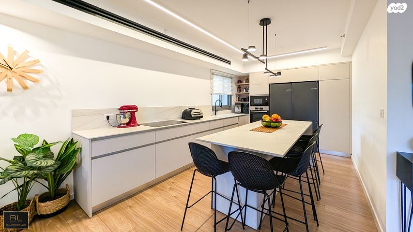 דירה, הגל, החותרים, טירת כרמל