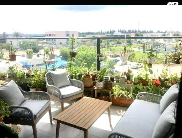 רחובות המדע