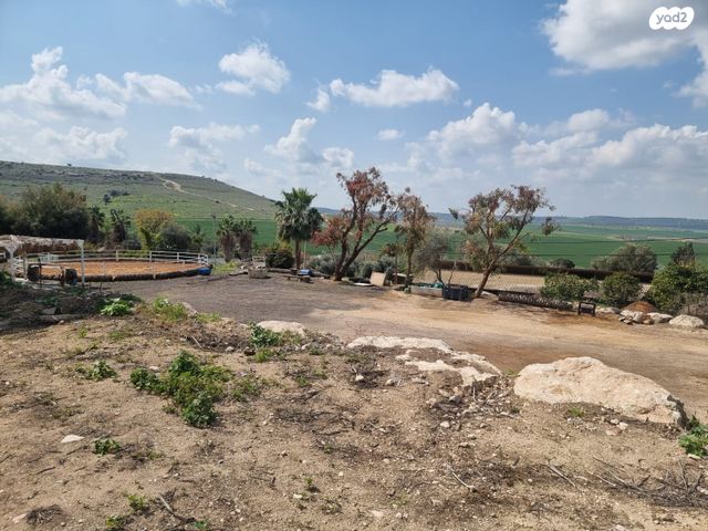 מגרשים, סלע עיטם, כפר אוריה