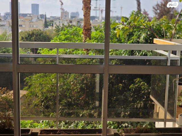 דירה, יוסף פעמוני, בבלי, תל אביב יפו