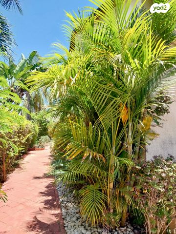 דו משפחתי, צור יגאל, כוכב יאיר / צור יגאל