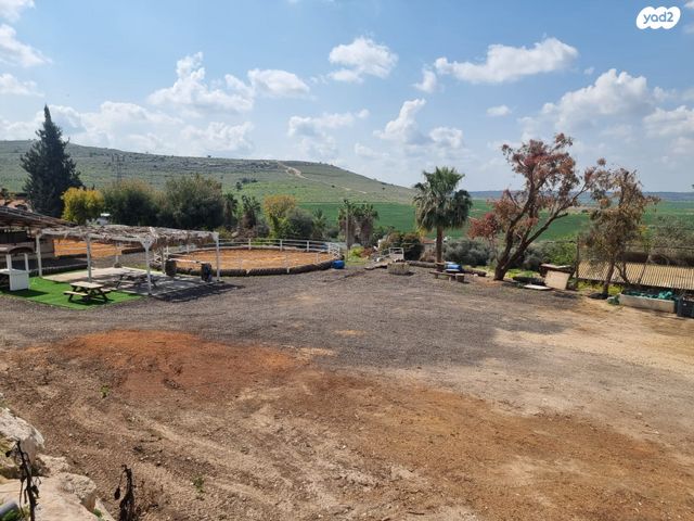 מגרשים, סלע עיטם, כפר אוריה