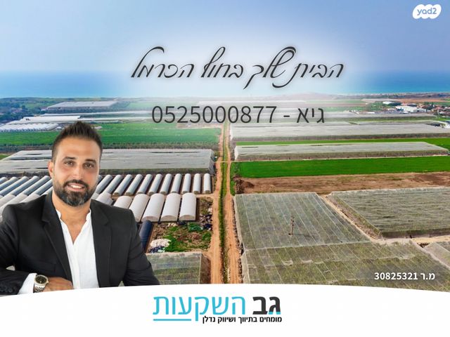 משק חקלאי/ נחלה, מגדים, מגדים