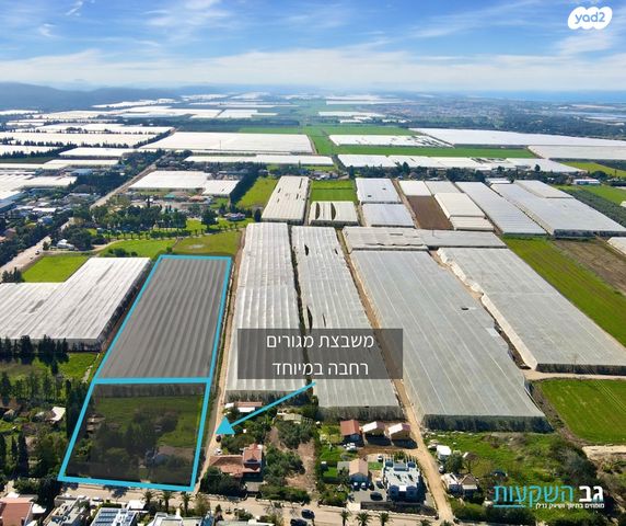 מגרשים, מגדים, מגדים