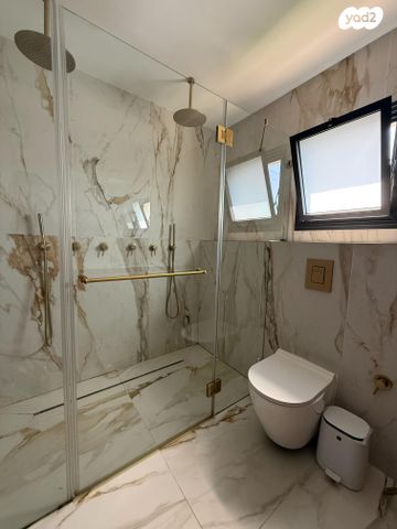 הרב אריה לוין 