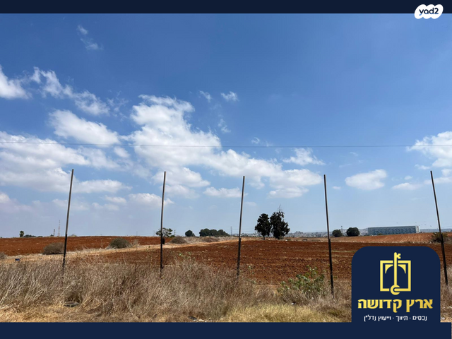 מגרשים, קפלן, בנה ביתך, כפר סבא