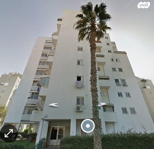 הסוכנות היהודית 