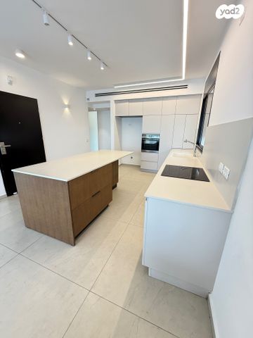 גג/ פנטהאוז, מרכז, כפר סבא