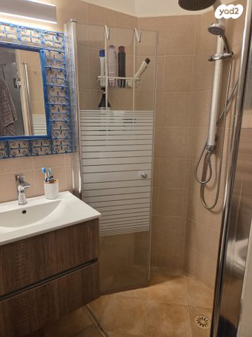 גג/ פנטהאוז, עמיאל רוז'נסקי, אפרים, רחובות