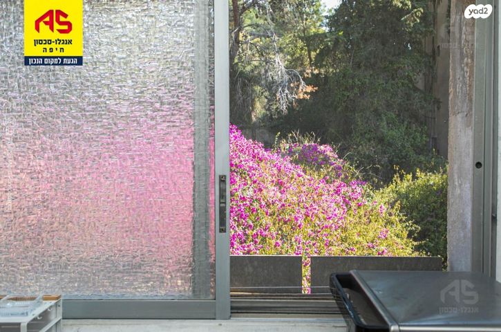 דירה, דרייפוס, קרית שפרינצק, חיפה