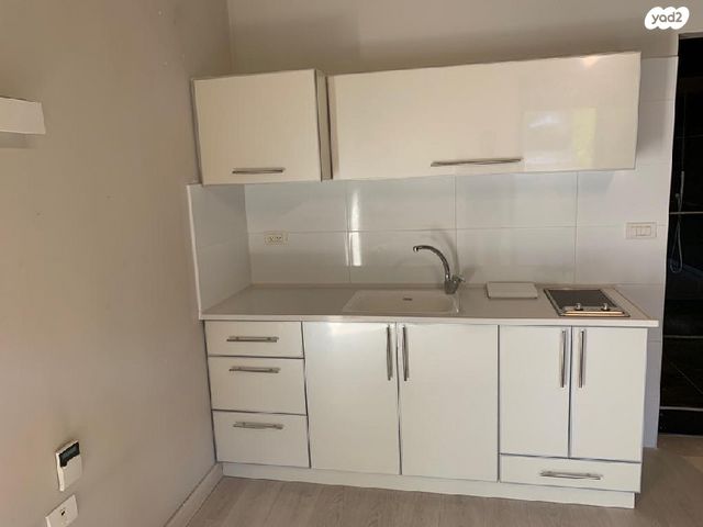 יחידת דיור, טירת שלום, נס ציונה