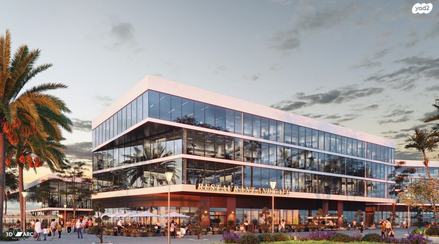 משרדים, שושנה דמארי, משכנות האומנים, קרית מוצקין