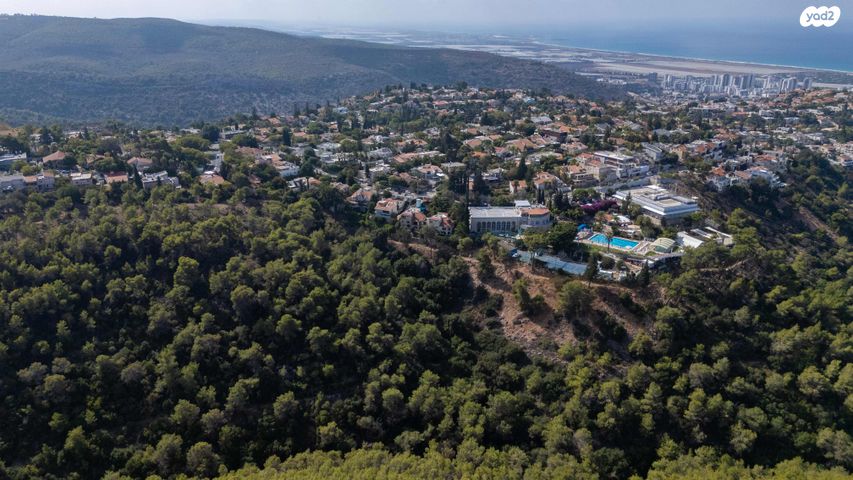 מגרשים, הוד הכרמל, דניה, חיפה