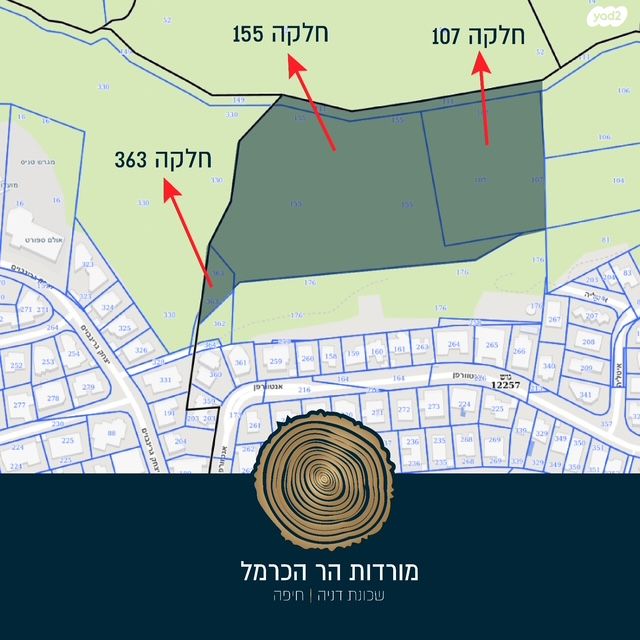 מגרשים, הוד הכרמל, דניה, חיפה