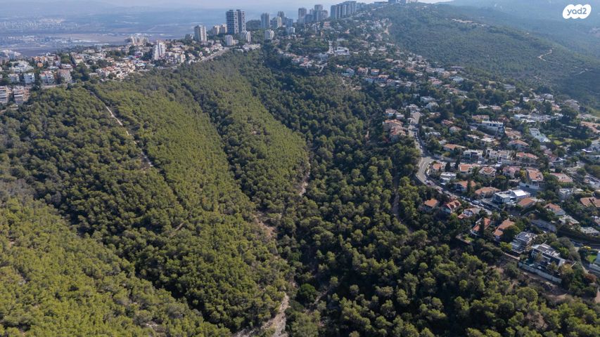 מגרשים, הוד הכרמל, דניה, חיפה