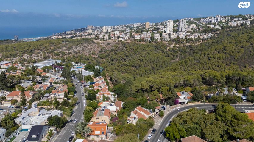 מגרשים, הוד הכרמל, דניה, חיפה