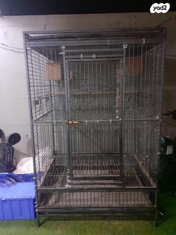 תמונת מודעה - חיות מחמד