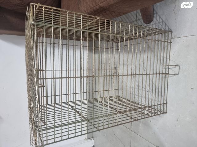 תמונת מודעה - חיות מחמד