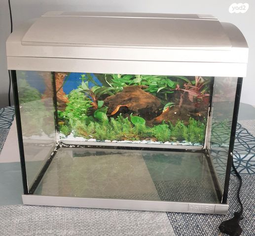 תמונת מודעה - חיות מחמד