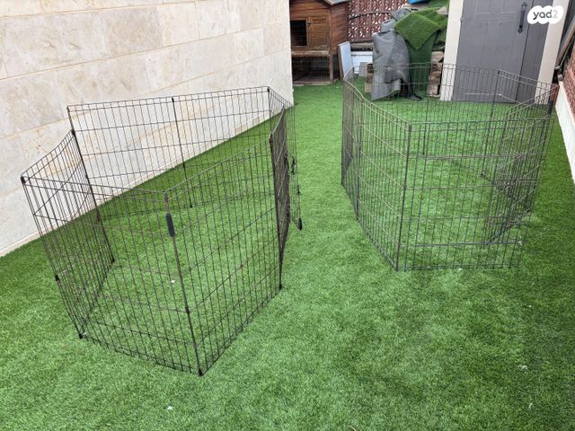 תמונת מודעה - חיות מחמד