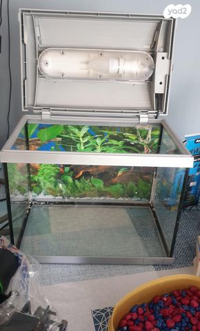 אביזרים | אקווריום