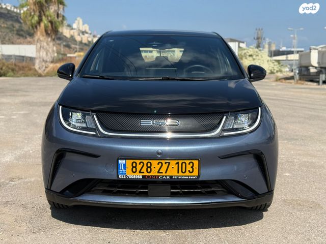 בי.ווי.די דולפין