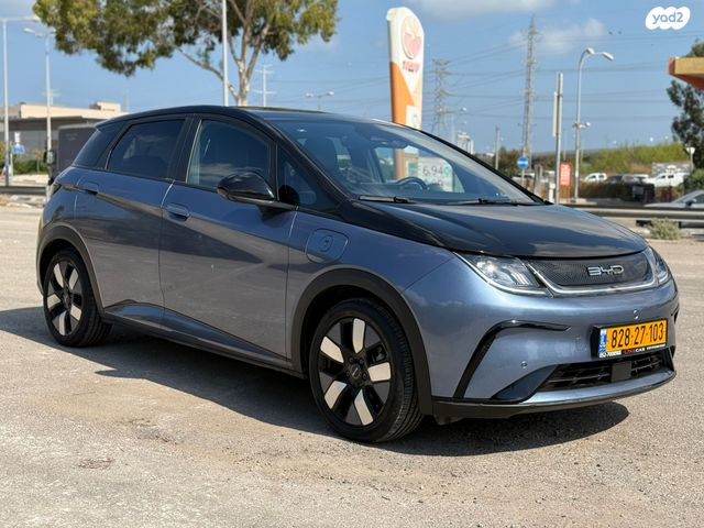 בי.ווי.די דולפין