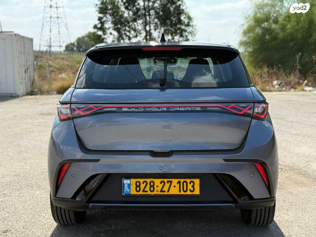 בי.ווי.די דולפין