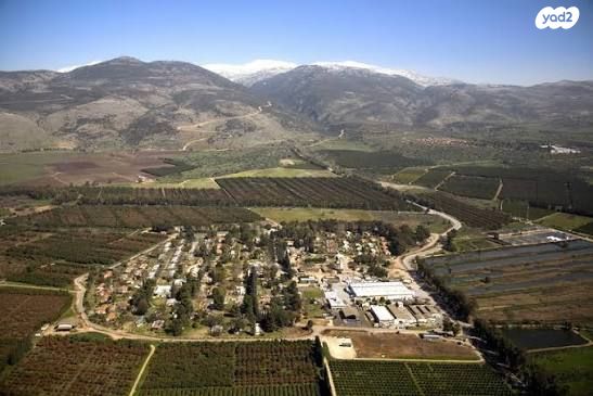 בית פרטי/ קוטג', 99 1, דן, דן