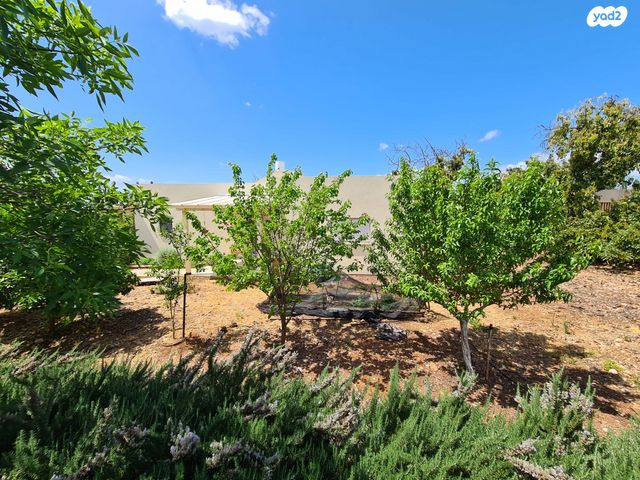 בית פרטי/ קוטג', 99 1, דן, דן