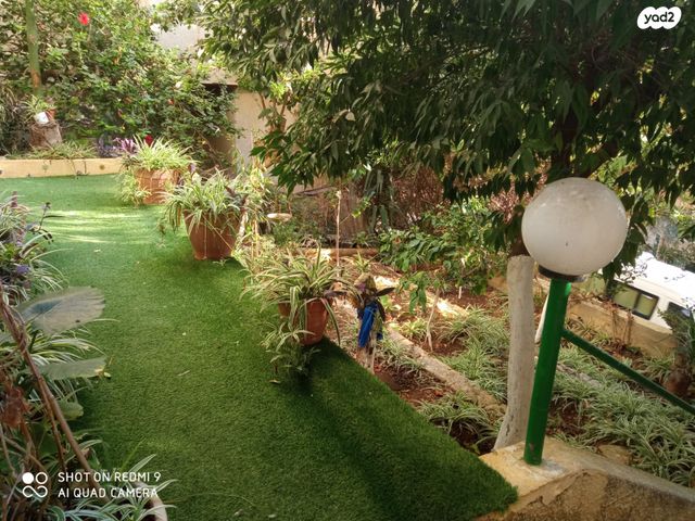 דירה, הלל 41, הדר עליון, חיפה