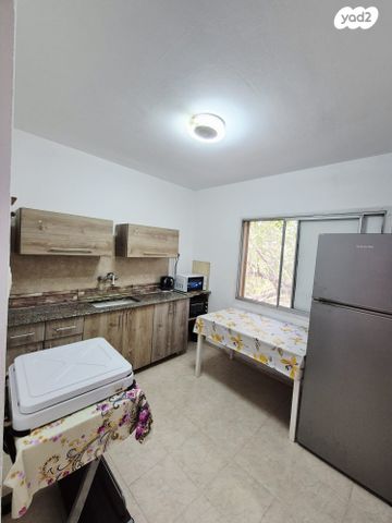 שאול המלך 135