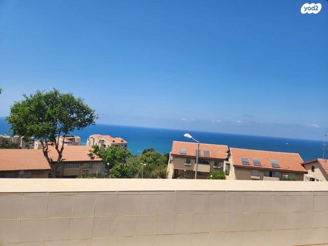 אביגדור המאירי 8