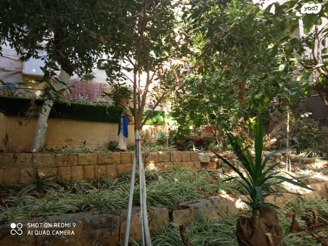 דירה, הלל 41, הדר עליון, חיפה