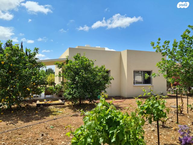 בית פרטי/ קוטג', 99 1, דן, דן