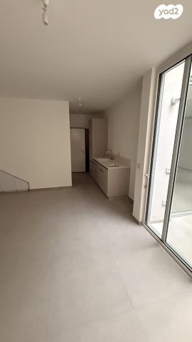 פנחס מאירי 2