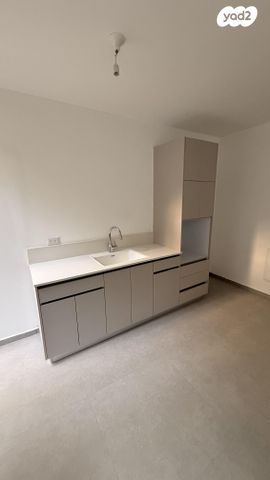 פנחס מאירי 21