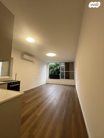 זאב ז'בוטינסקי 18