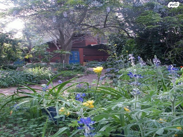 עמיקם שמאי 35