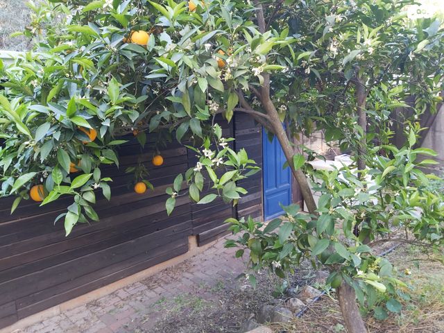 בית פרטי/ קוטג', עמיקם שמאי 35, ראש פינה, ראש פינה