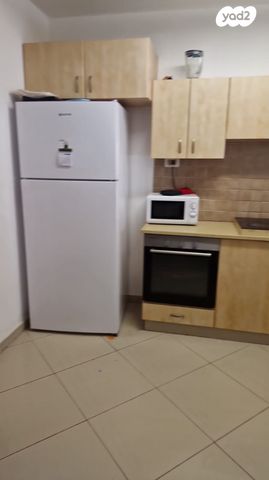 פרופסור שמשון עמיצור 23