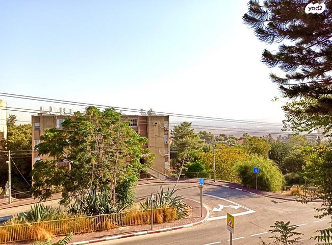 דירה, עמוס 2, בן דור, נשר