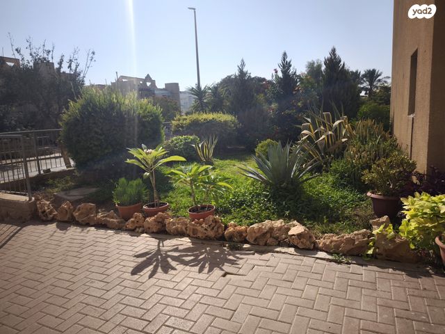 דירה, תפוח, חלמיש, ערד