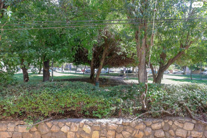 דירה, האם, נווה יהושע, ערמונים, רמת גן