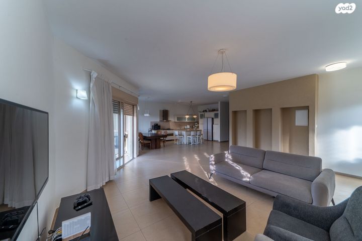 גג/ פנטהאוז, רמת ישי