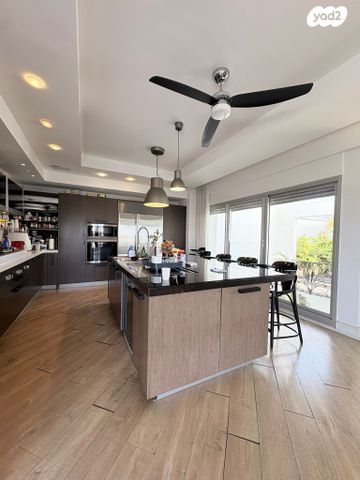 אלכסנדר סשה ארגוב 