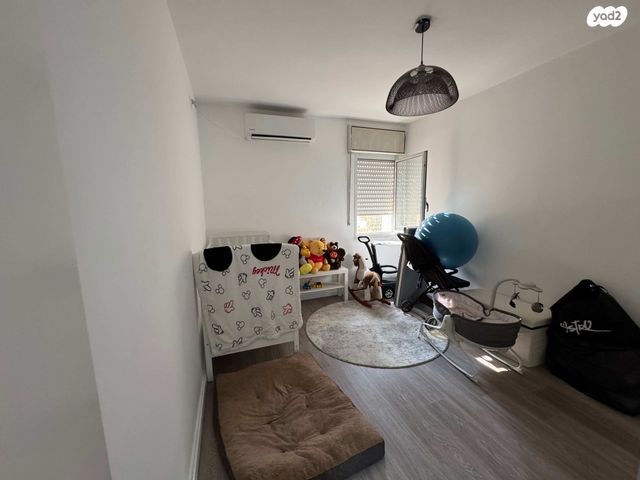 דירה, אירוס הארגמן, גבעת האירוסים, נתניה