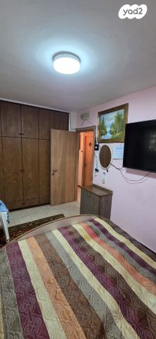 דירה, הדקל, כרמיאל