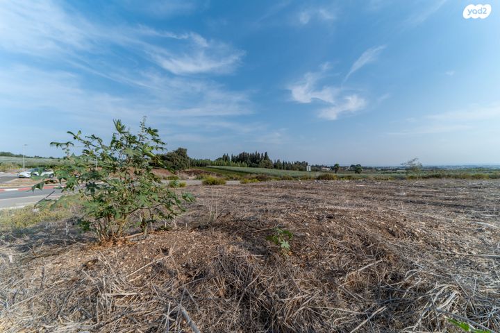 מגרשים, רמת ישי